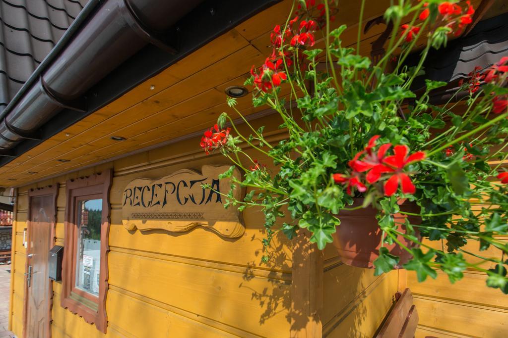 Willa Stachoniowka Zakopane Exterior foto